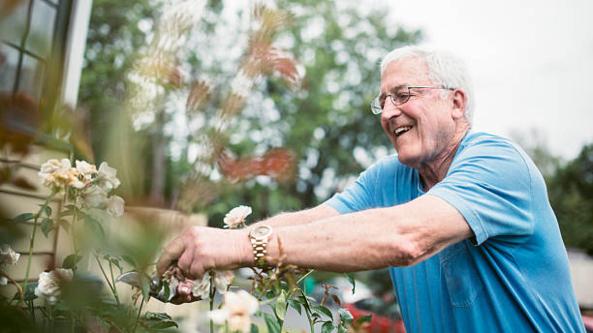 man werkt in de tuin