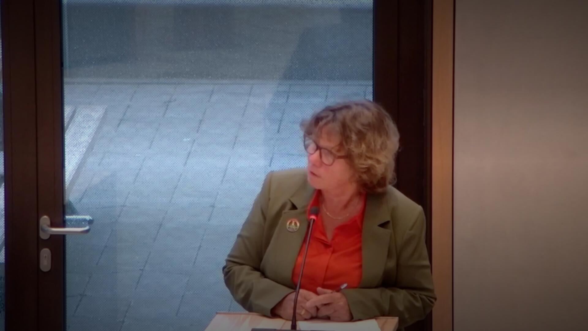Herriet Heersink tijdens de vergadering in de gemeenteraad
