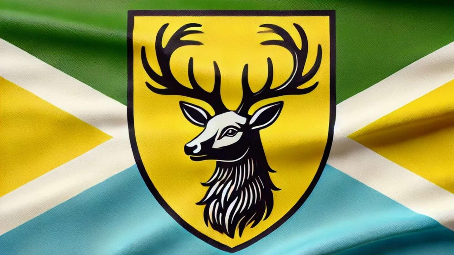De vlag van Dieren (uitsnede)